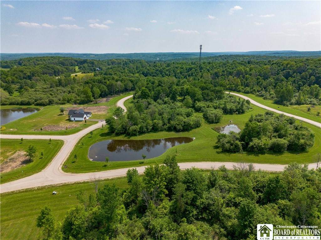 2045 (Lot 15) Mandolin Ridge - Photo 1