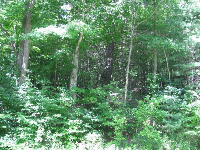 62054 State Route 415 - Photo 1