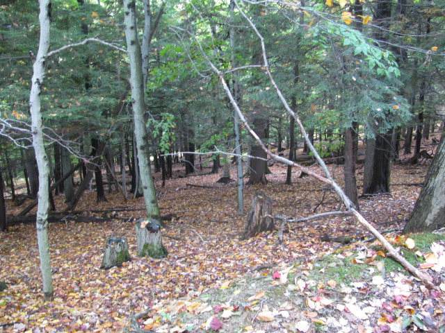 https://bt-photos.global.ssl.fastly.net/rochester/orig_boomver_1_R1653814-2.jpg