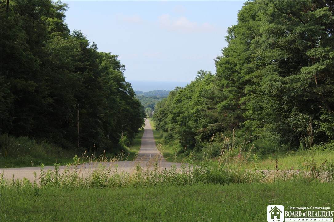  Woleben Road - Photo 1