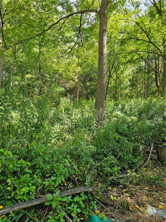 0 Lyons Marengo Road - Photo 1