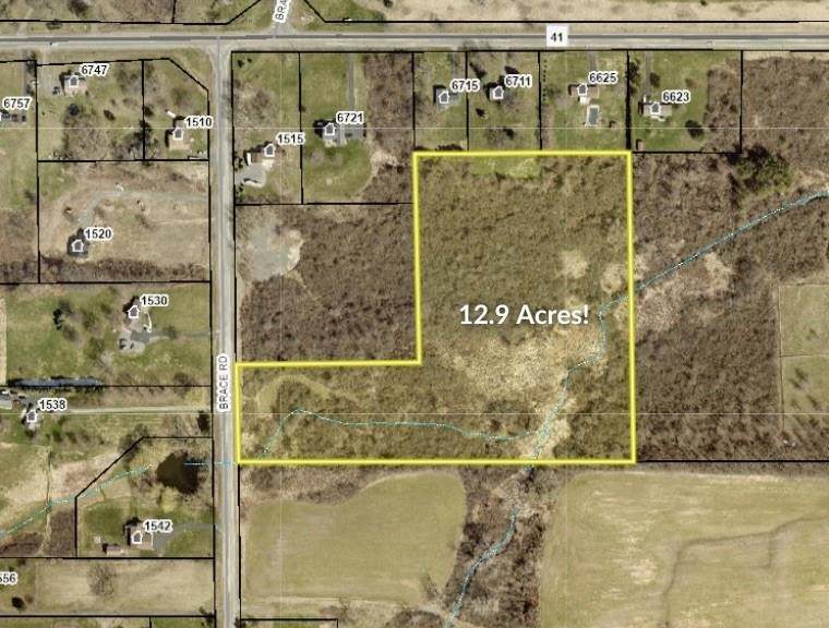 0 Brace Road - 12.9 Acres - Photo 1