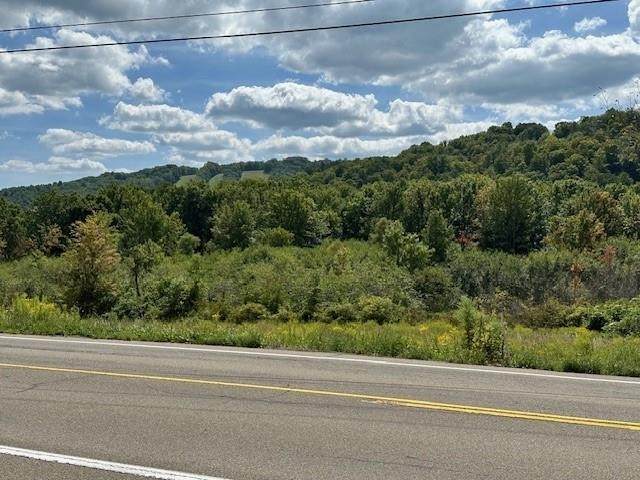  Malone Road - Photo 1