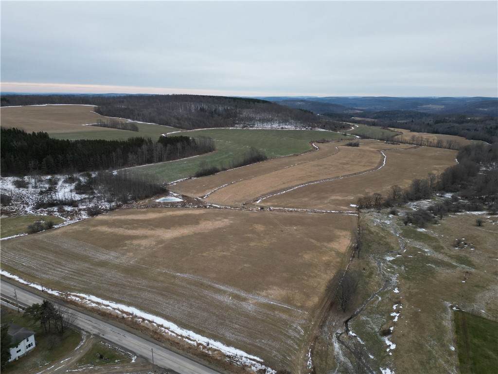 1300 County Route 82 - Photo 1