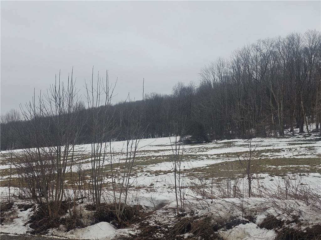  Thornton Road - Photo 1