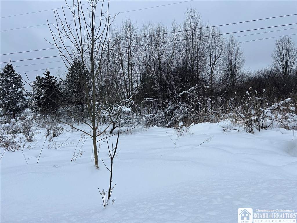  Pekin Road - Photo 1