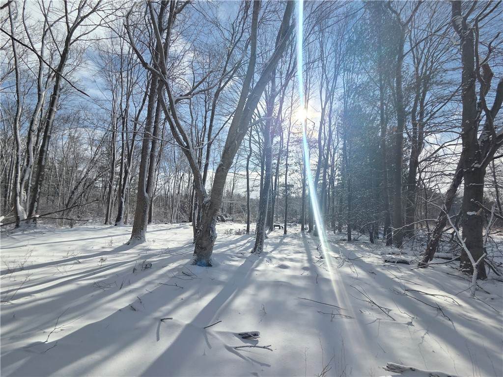 10720 Duck Lake Road - Photo 1