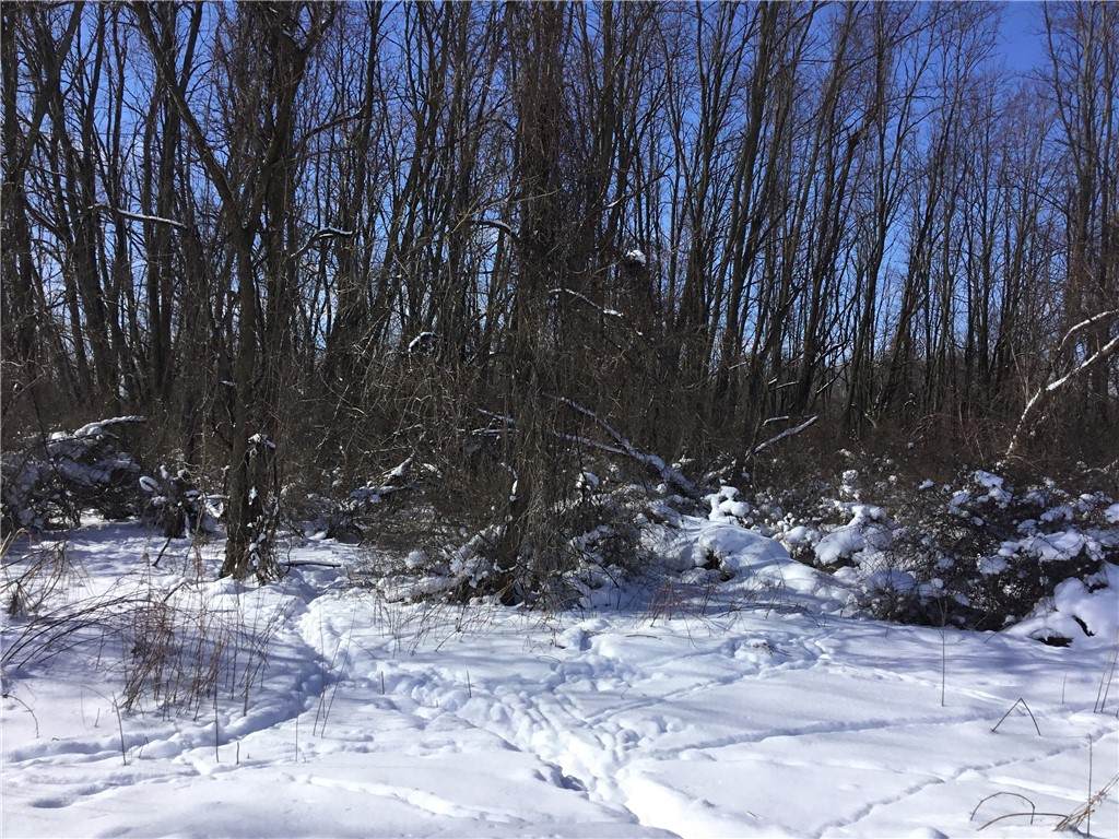 Creek Road - Photo 1