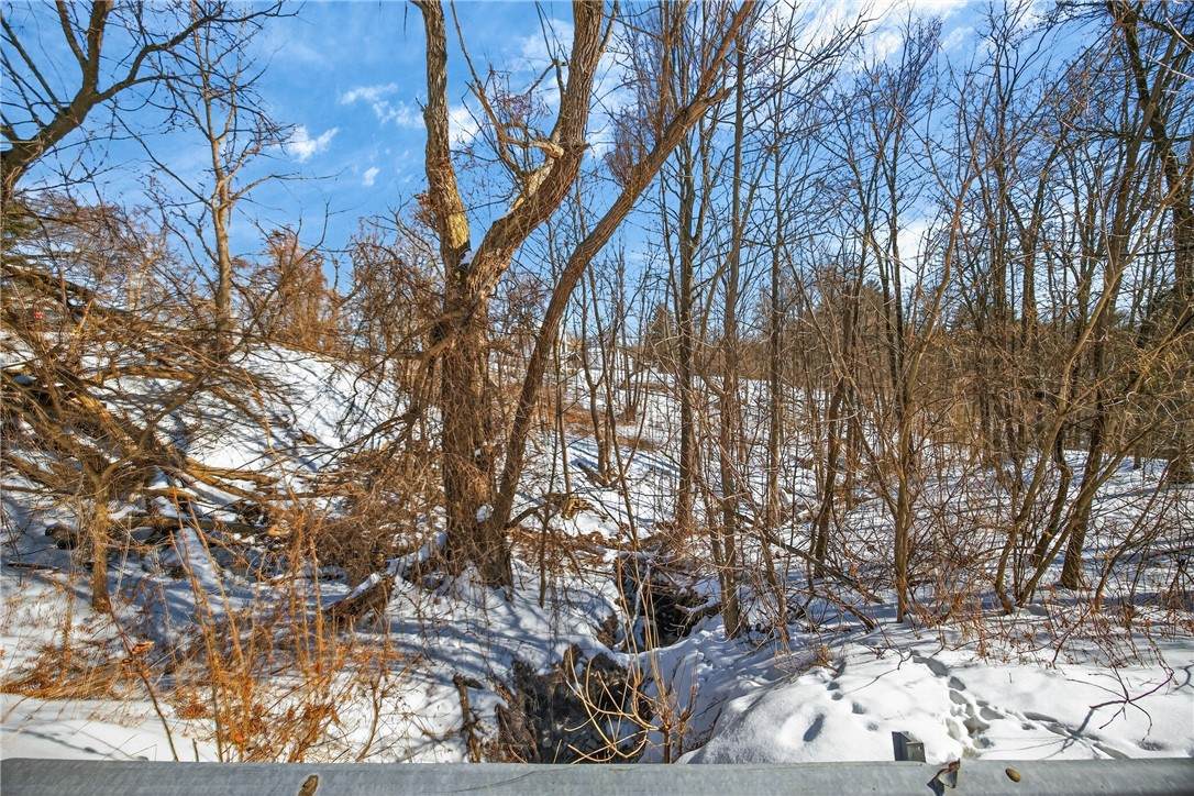 Roff Hill Road - Photo 1