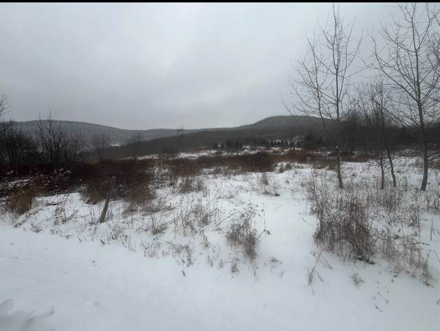  Narrow Notch Road - Photo 1