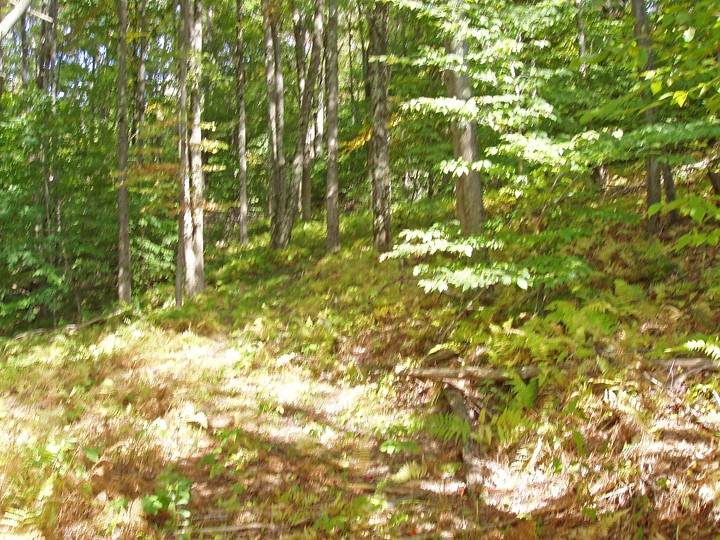 https://bt-photos.global.ssl.fastly.net/rochester/orig_boomver_1_R1661515-2.jpg