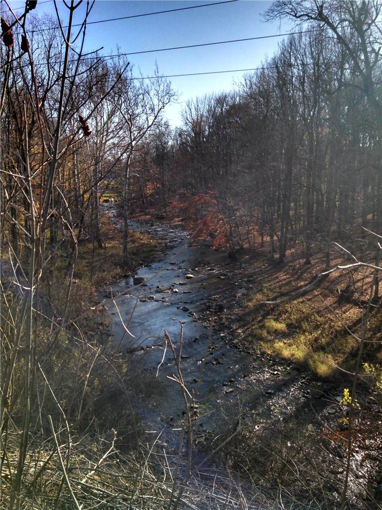 6240 Pheasants Crossing - Photo 1