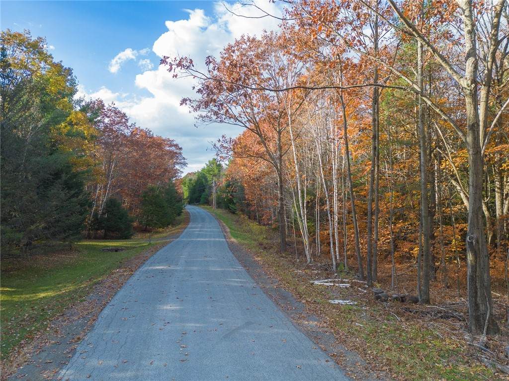  Woodland Drive - Photo 1