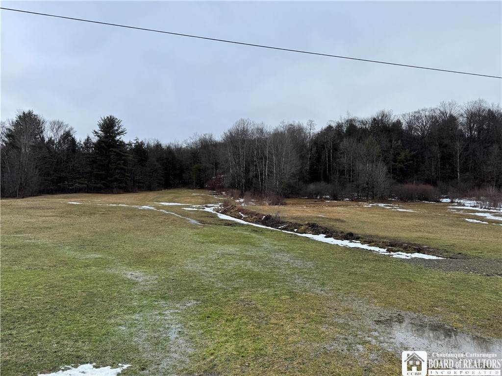 Lot B Sugartown Road - Photo 1