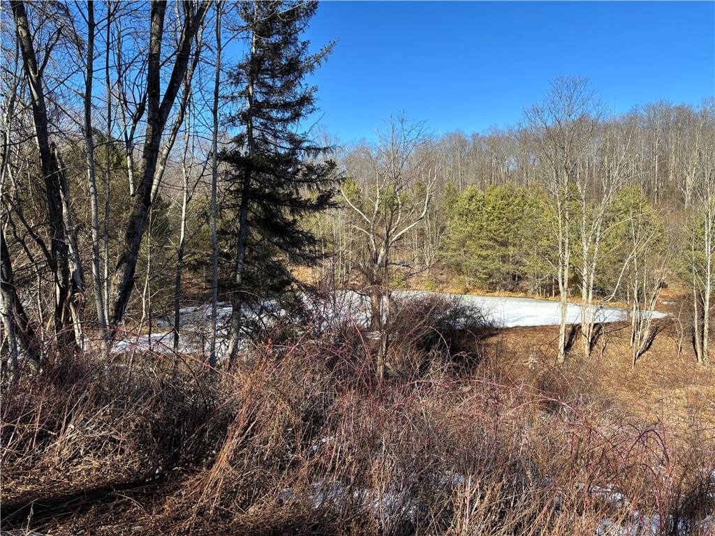 793 Joseph Road - Photo 1