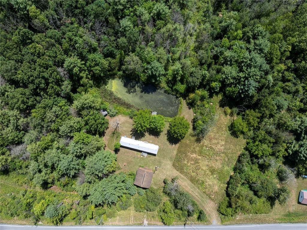 8230 County Route 16 (Telegraph Road) - Photo 1