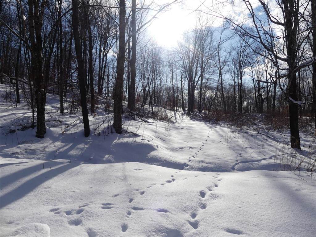 https://bt-photos.global.ssl.fastly.net/rochester/orig_boomver_1_R1664058-2.jpg