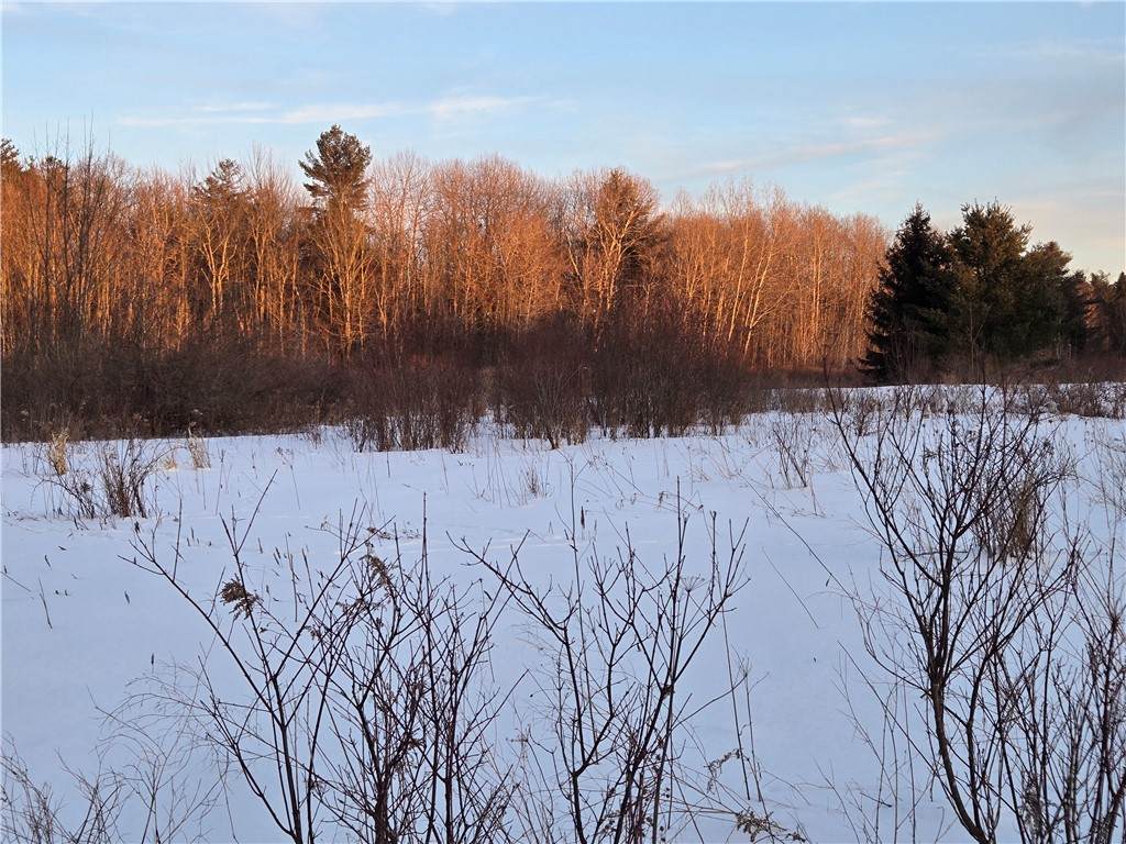 Lot 119 and 110 Corbin Hill Road - Photo 1