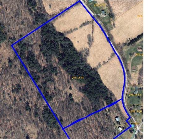  Budine Hill Road - Photo 1