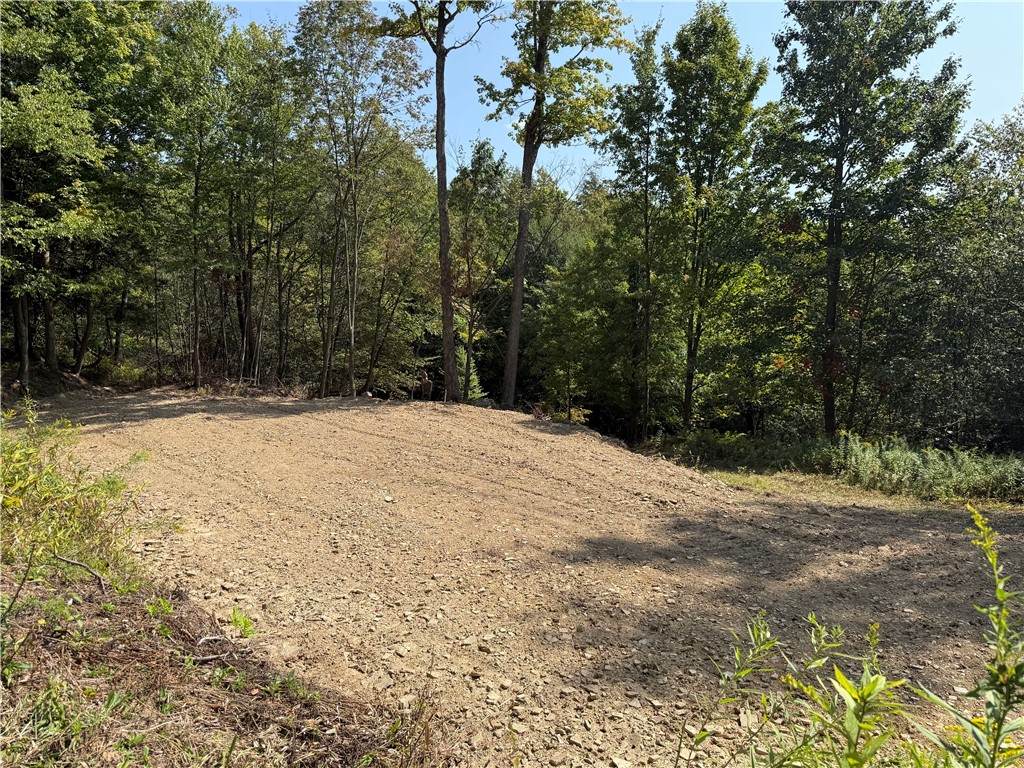 0 Alma Hill Road - Photo 1