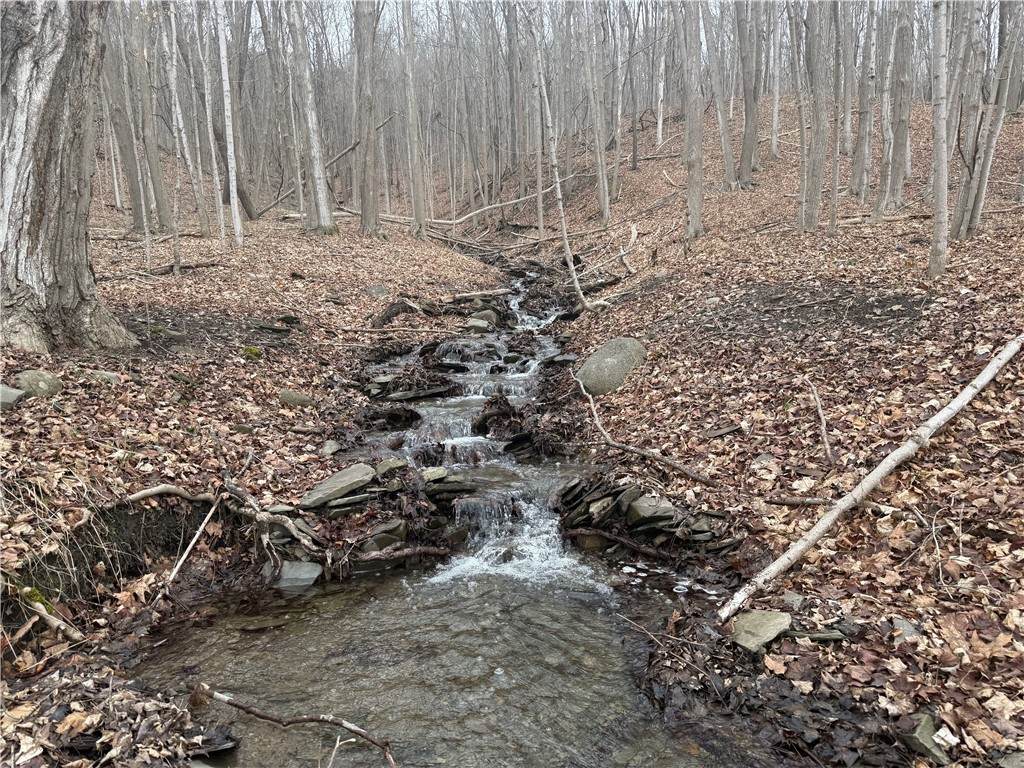 https://bt-photos.global.ssl.fastly.net/rochester/orig_boomver_1_R1666870-2.jpg