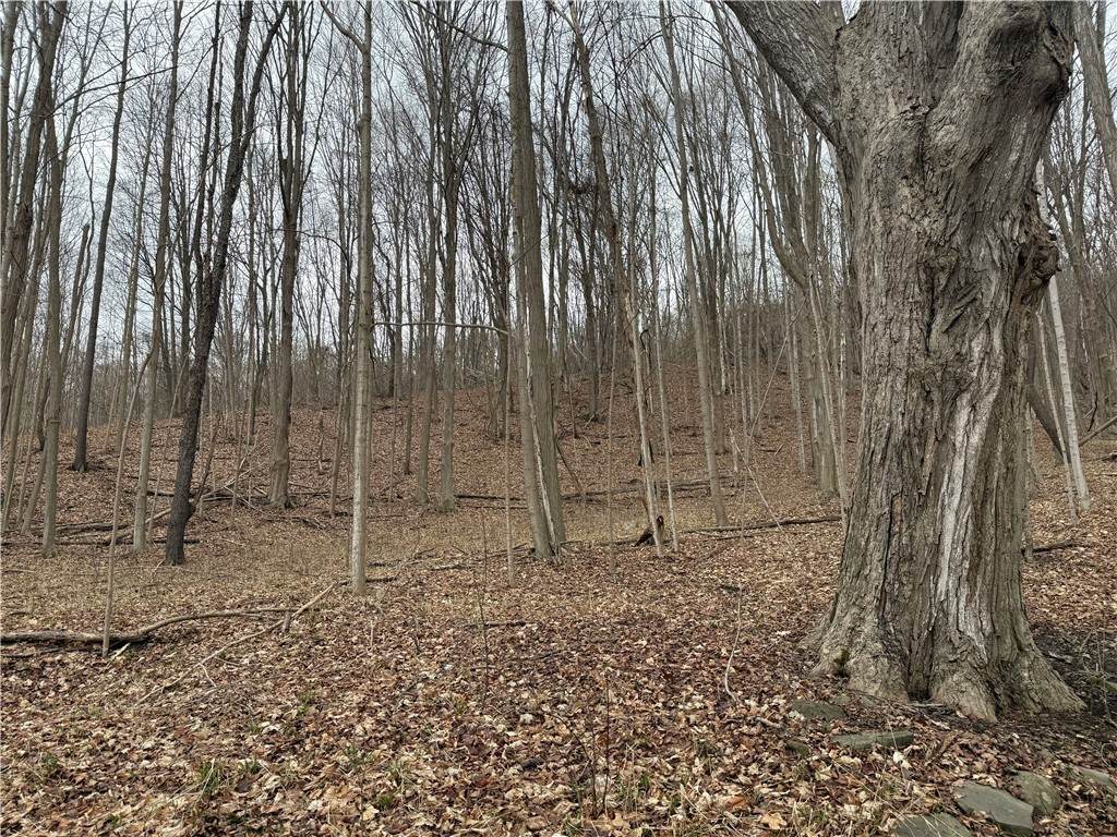 https://bt-photos.global.ssl.fastly.net/rochester/orig_boomver_1_R1666870-2.jpg