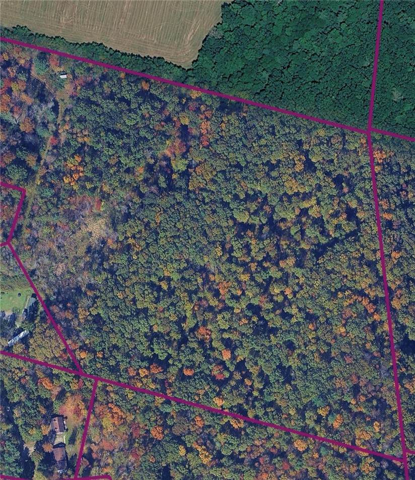 370 Ellis Creek Rd - Photo 1