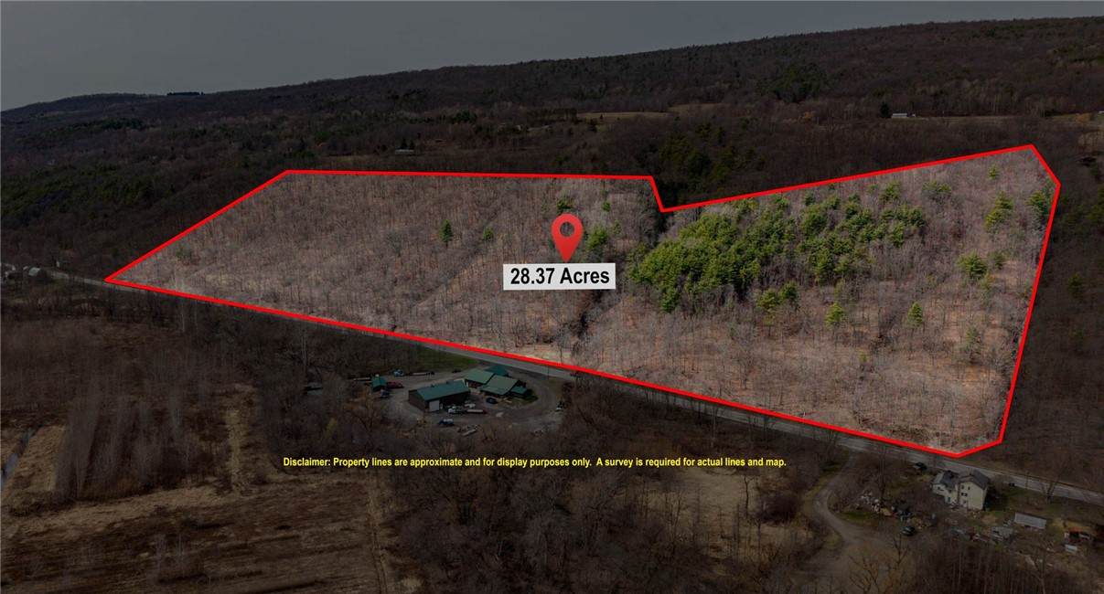  Rt 21 - Photo 1