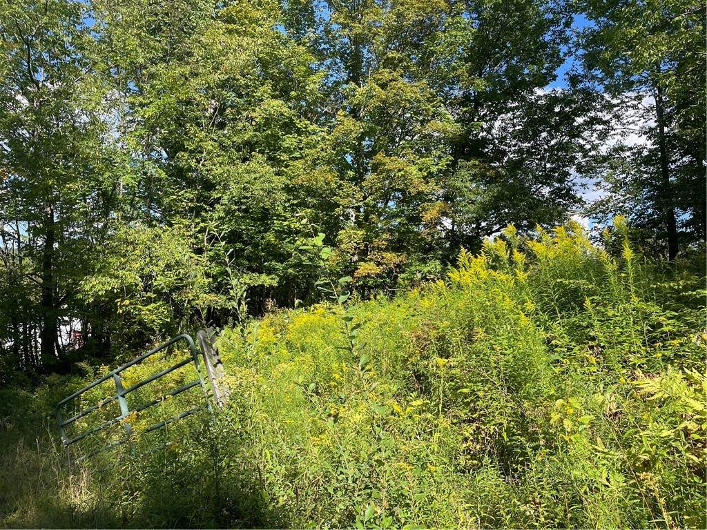 19.221 Turnpike Road - Photo 1