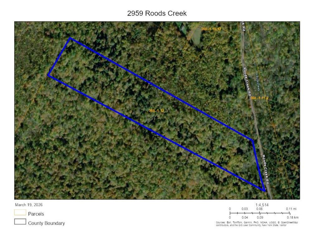 2959 Roods Creek Road - Photo 1