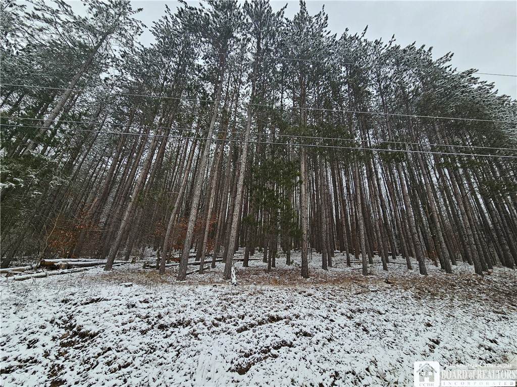  Butternut Brook Road - Photo 1