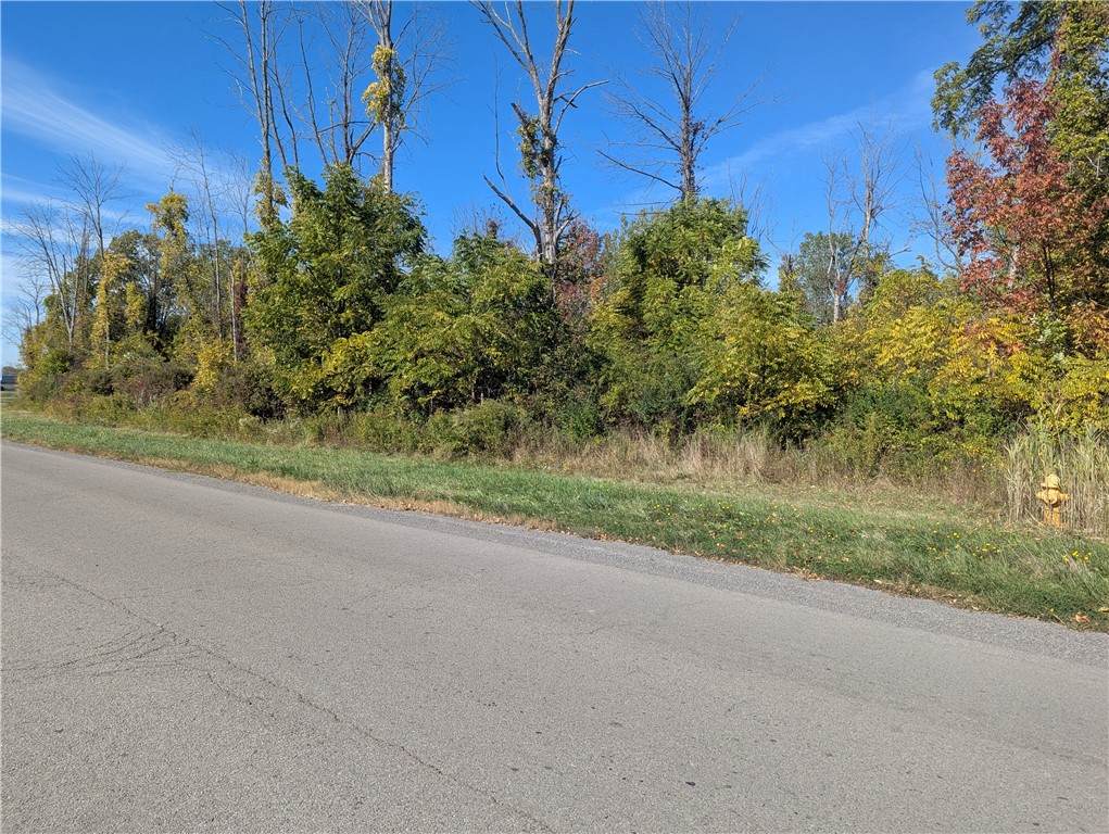 425A Timothy Lane - Photo 1