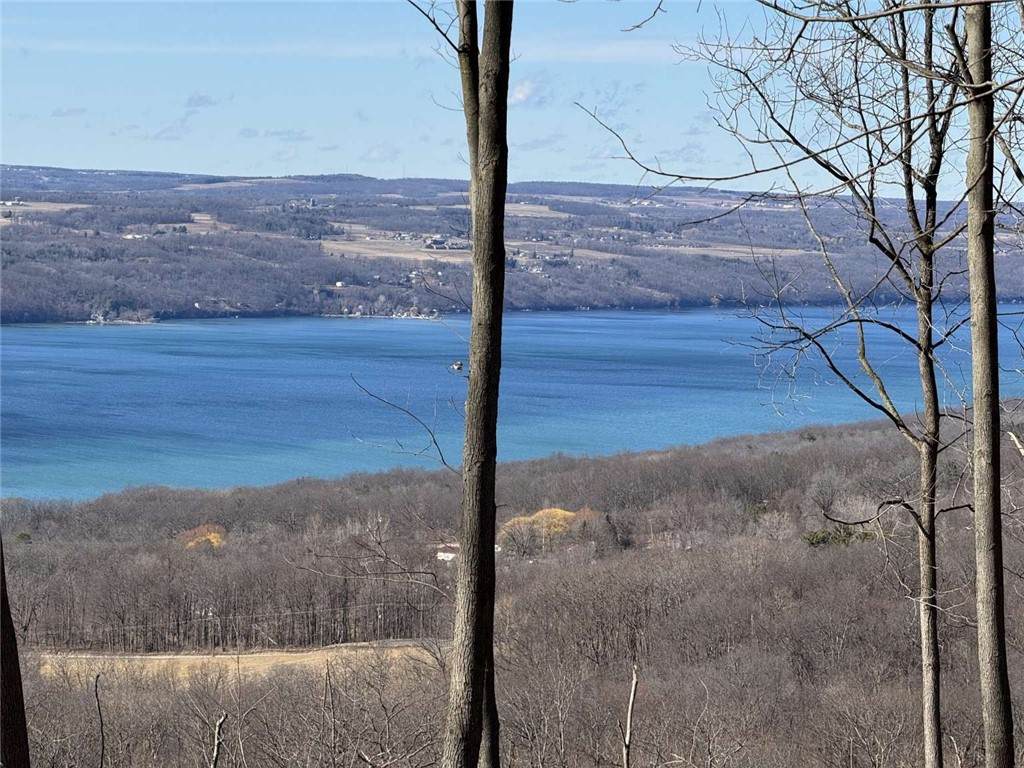 0 Satterly Hill Road - Photo 1