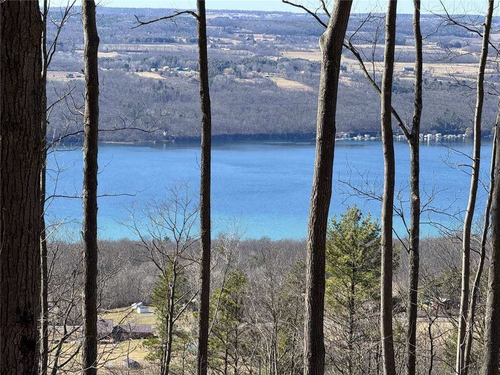 https://bt-photos.global.ssl.fastly.net/rochester/orig_boomver_1_R1668439-2.jpg