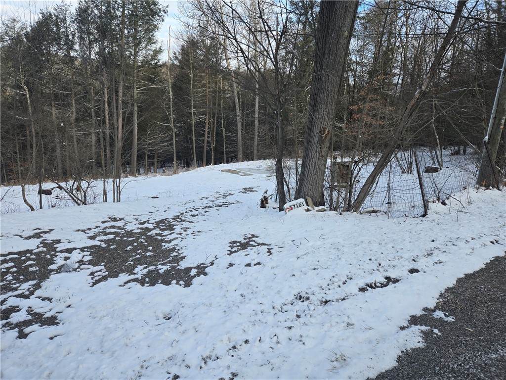 7101 Boot Jack Road - Photo 1