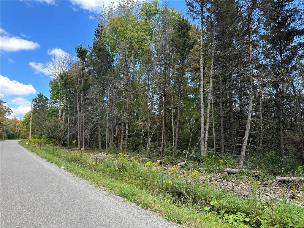 Lot 9 Mcandrews Rd - Photo 1