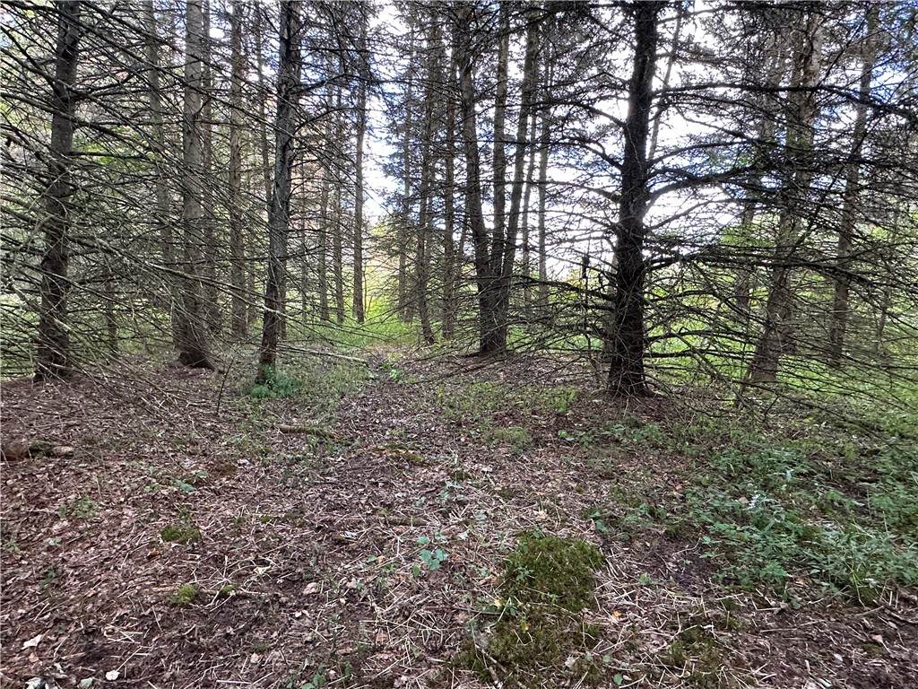 Lot 7 Mcandrews Rd - Photo 1