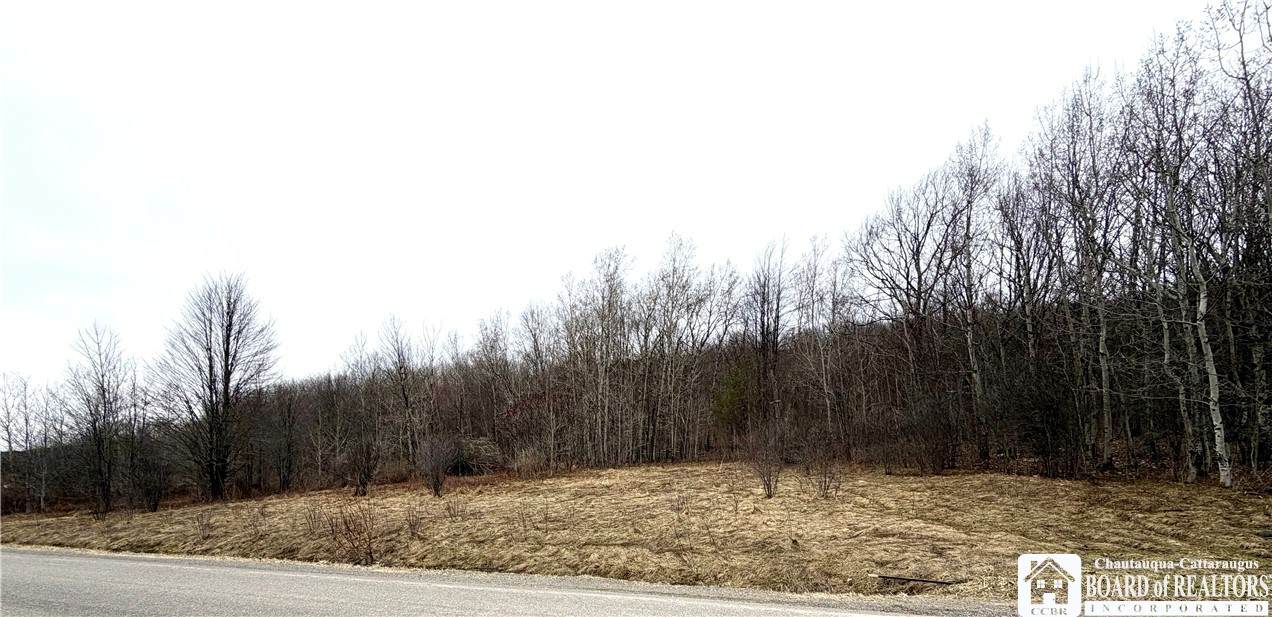8528 Jackson Hill Road - Photo 1