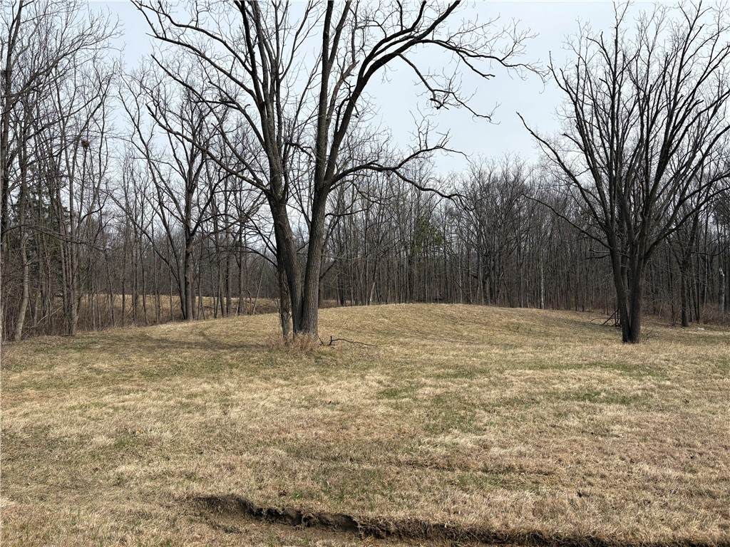 3220 County Road 28 - Photo 1