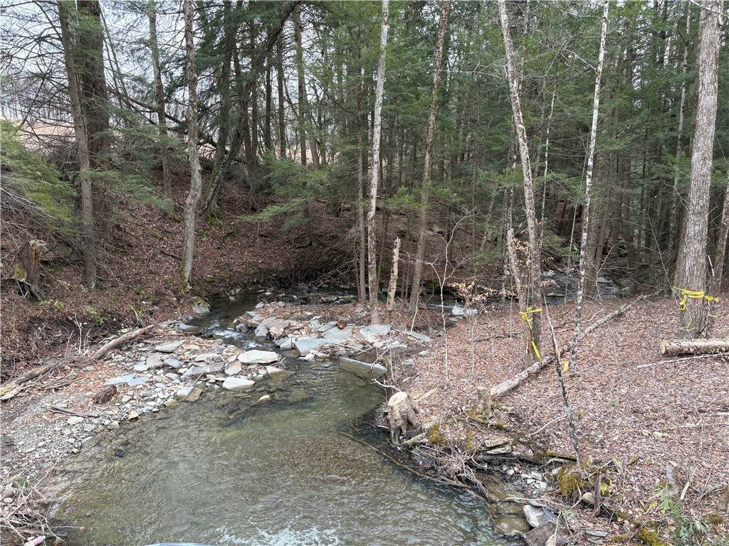  County Road 46 Lower Ravine Road - Photo 1
