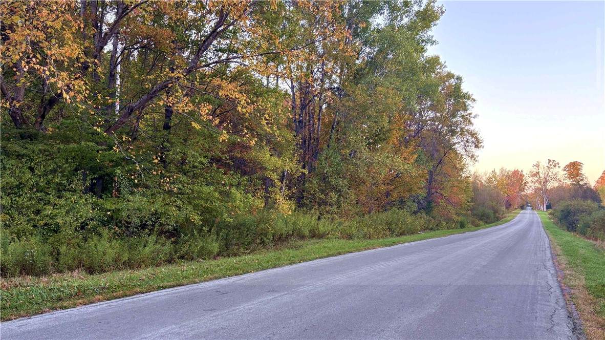 273 White Road - Photo 1