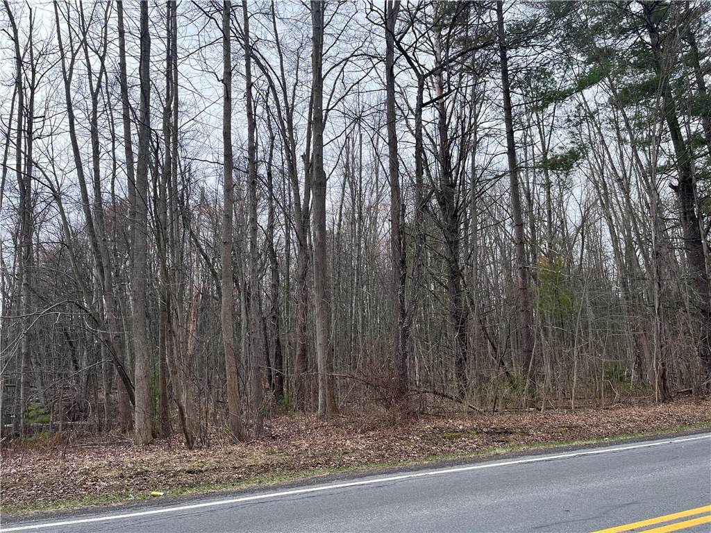 https://bt-photos.global.ssl.fastly.net/rochester/orig_boomver_1_R1671779-2.jpg