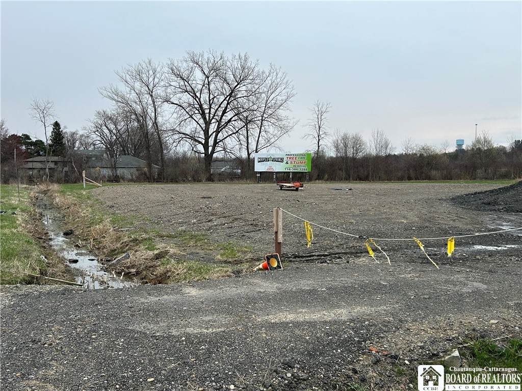 1111 Route 5&20 - Photo 1