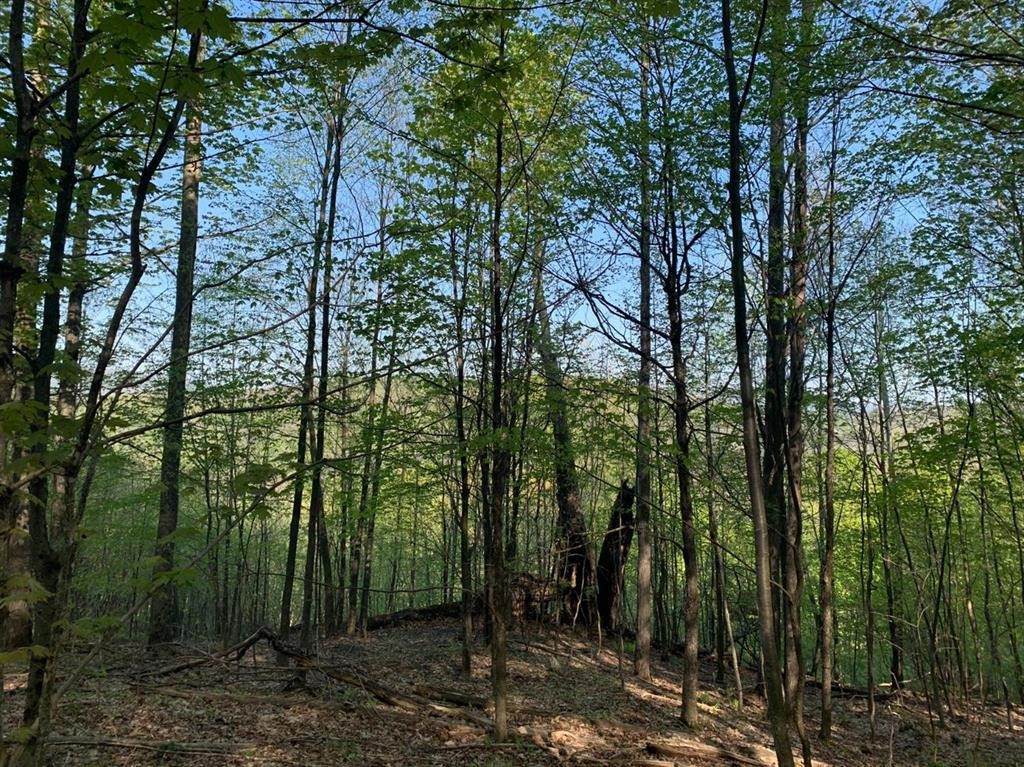 https://bt-photos.global.ssl.fastly.net/rochester/orig_boomver_1_R1672565-2.jpg