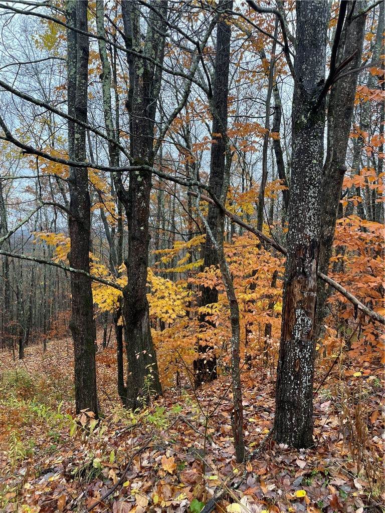 16 Silver Mine Road - Photo 1