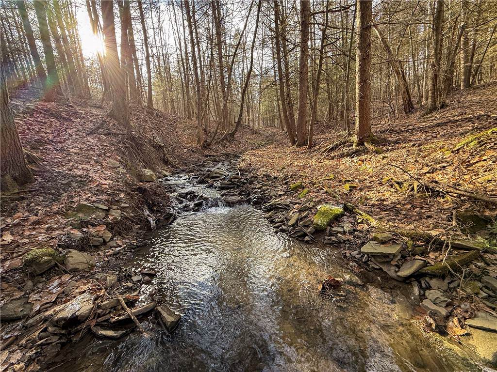  Briggs Hill Road - Photo 1