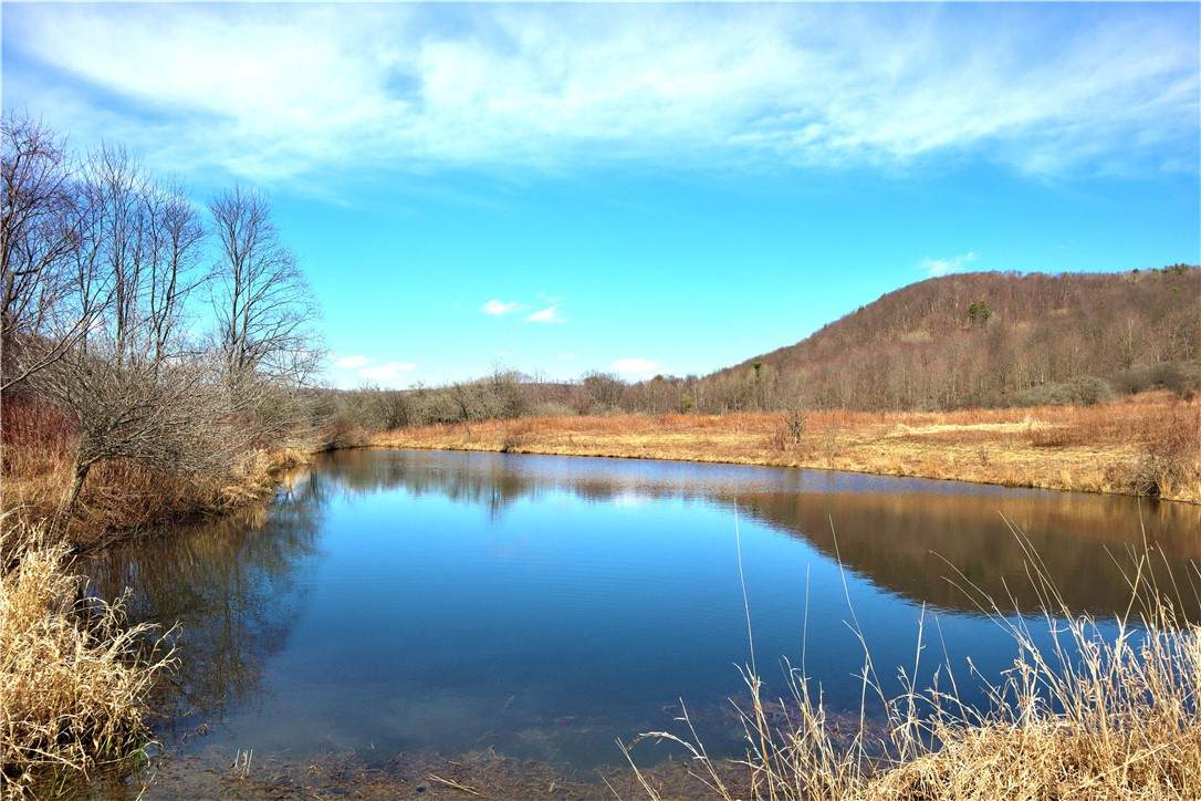 5306 Route 16 - Photo 1