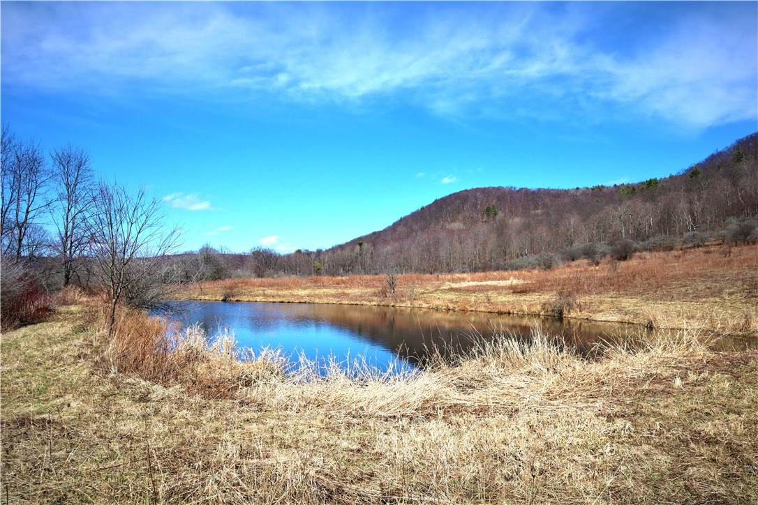 https://bt-photos.global.ssl.fastly.net/rochester/orig_boomver_1_R1673368-2.jpg