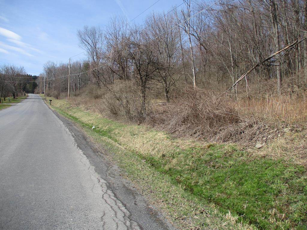 188 Orchard Hill Road - Photo 1