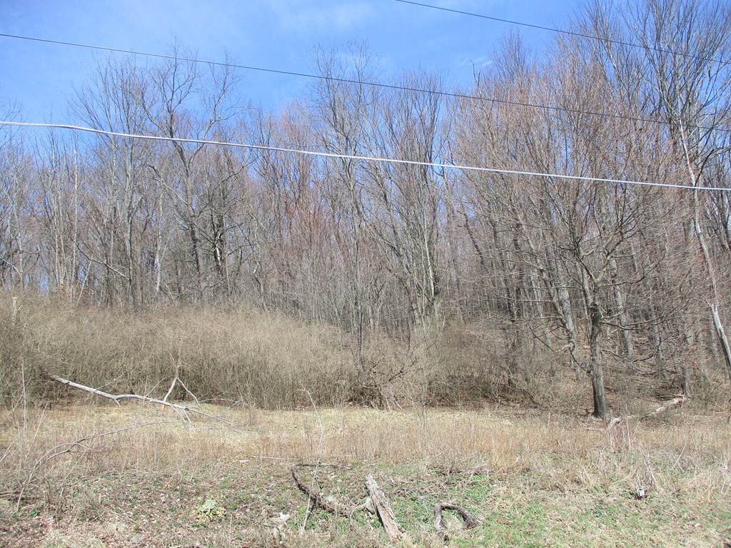 https://bt-photos.global.ssl.fastly.net/rochester/orig_boomver_1_R1674190-2.jpg